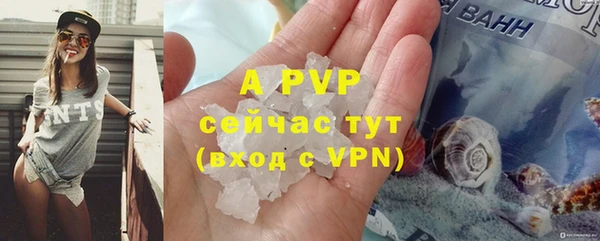 СК Гусь-Хрустальный