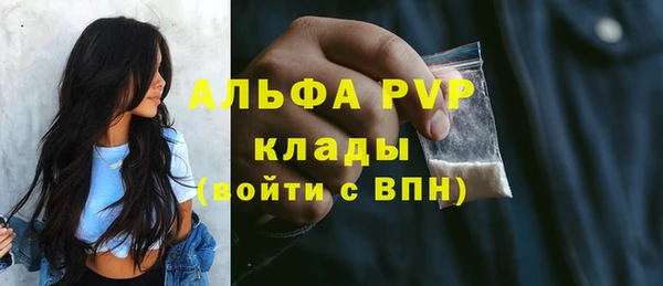 СК Гусь-Хрустальный