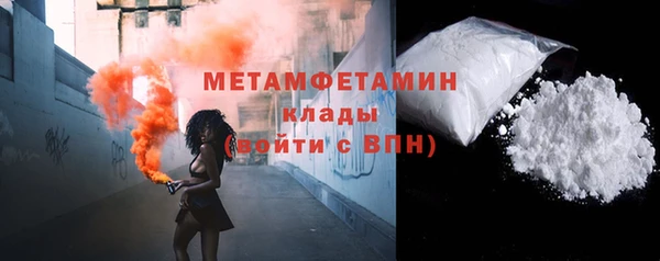 шишки Гусев