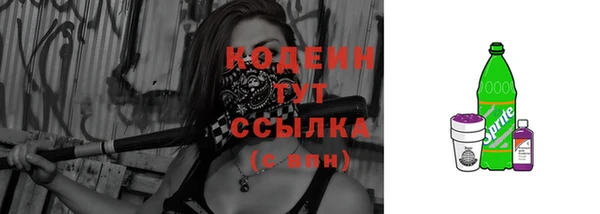 шишки Гусев