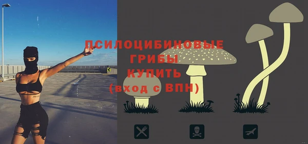 шишки Гусев