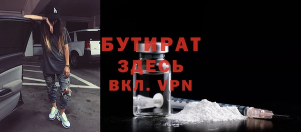 шишки Гусев