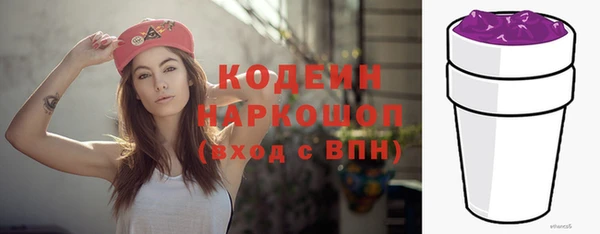 СК Гусь-Хрустальный