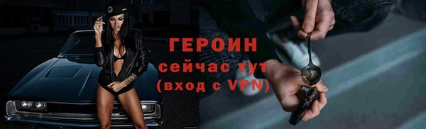 шишки Гусев
