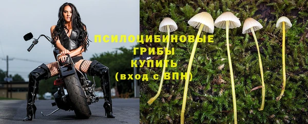 MDMA Гусиноозёрск