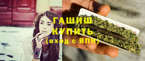 шишки Гусев