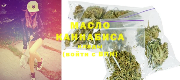 шишки Гусев