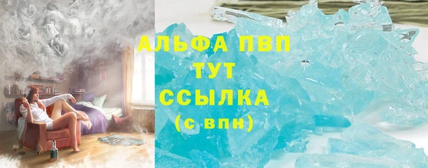 шишки Гусев