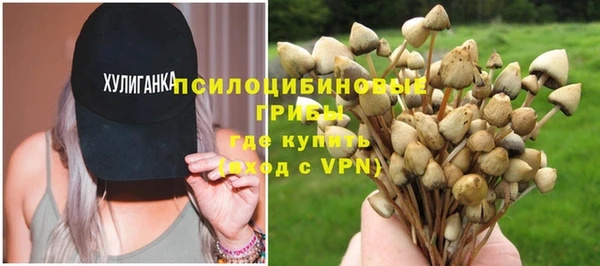 шишки Гусев
