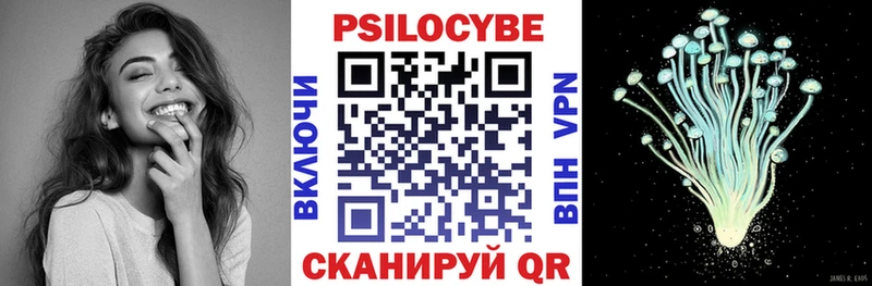 как найти закладки  Таруса  Галлюциногенные грибы Psilocybe 